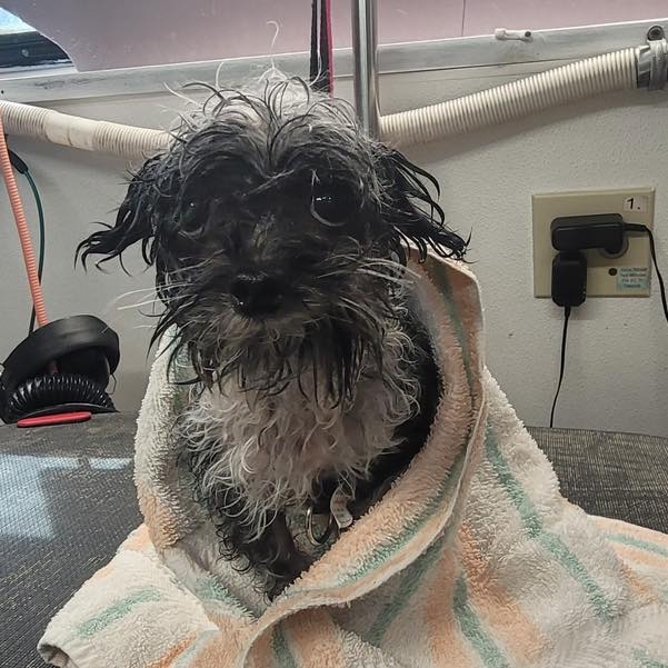 East Orlando Bath & Dry