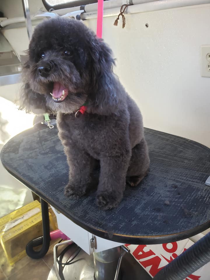 Bath & Dry Titusville