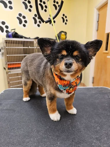 Nail Trim Titusville