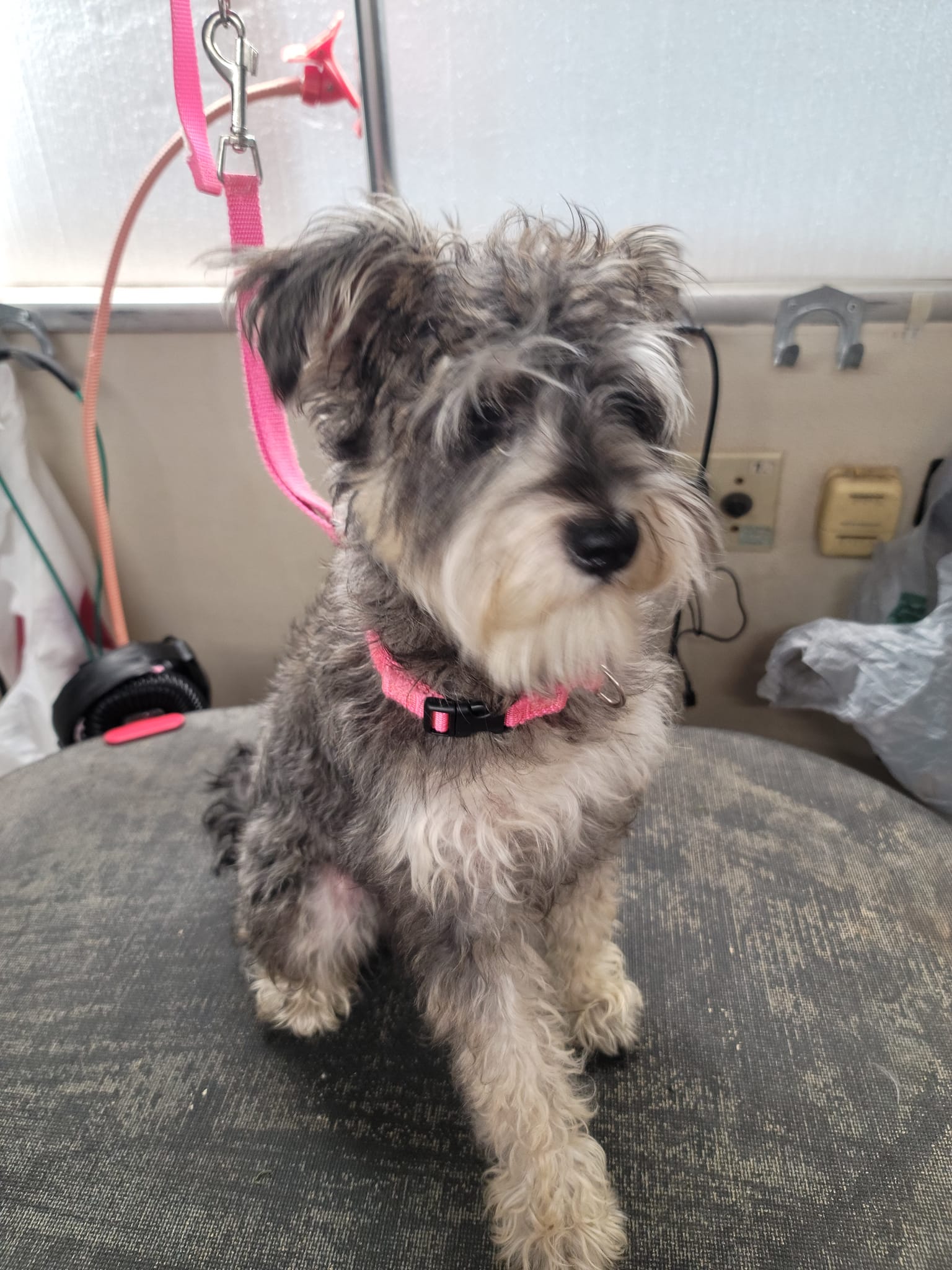 Nail Trim Titusville