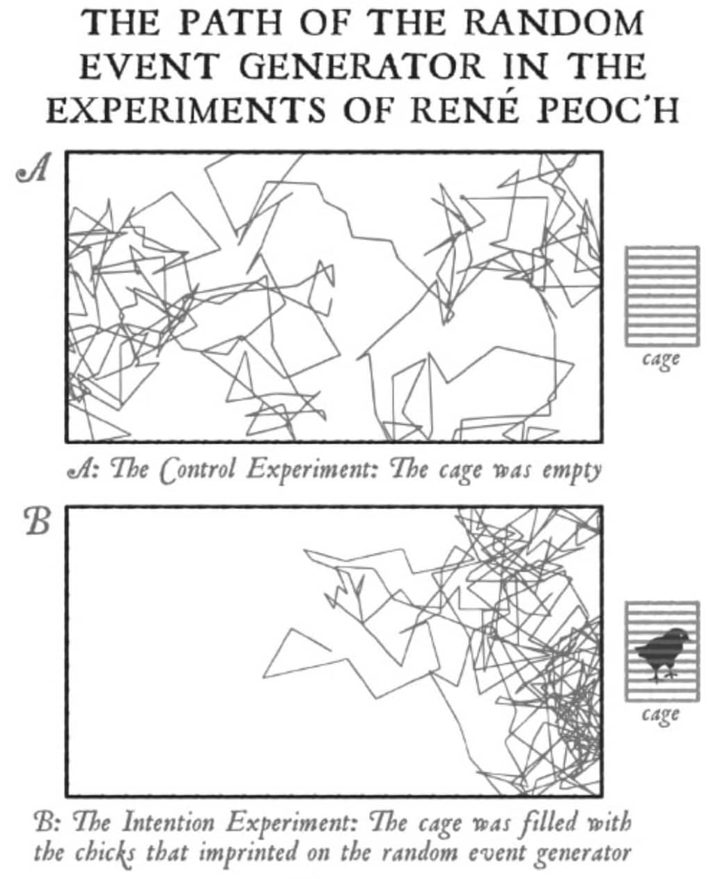 Diagram of René Peoc’h’s random event generator experiments comparing an empty control cage with a cage containing imprinted chicks, illustrating changes in the generator’s movement during the intention experiment.