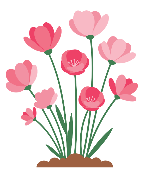 Pink flowers blooming Pink flowers blooming