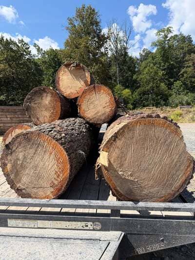 Excavation and land clearing in Harrisonburg, VA