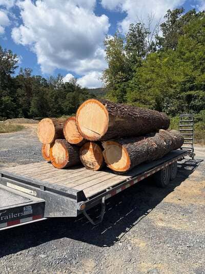 {{ custom_values.service_2 }} in {{custom_values.area_2})