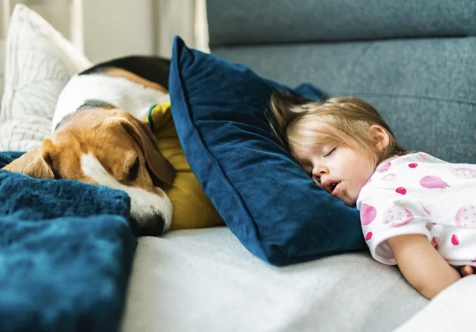 classroom-management-elementary classroom-management-elementary