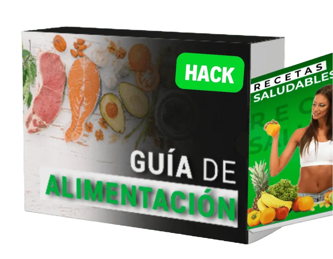 Guía de alimentación