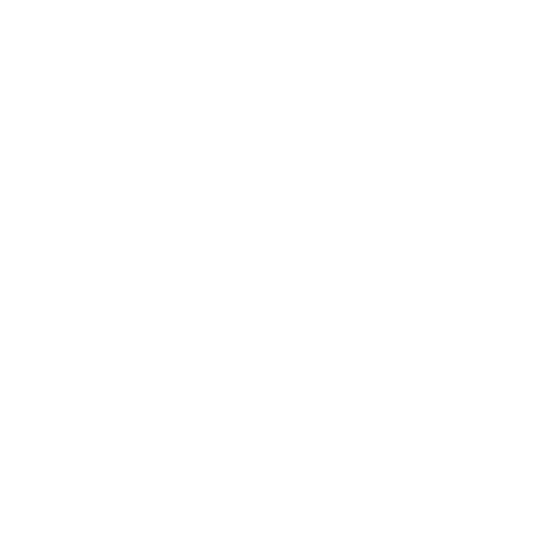 Logotipo Fisio Sport Life blanco
