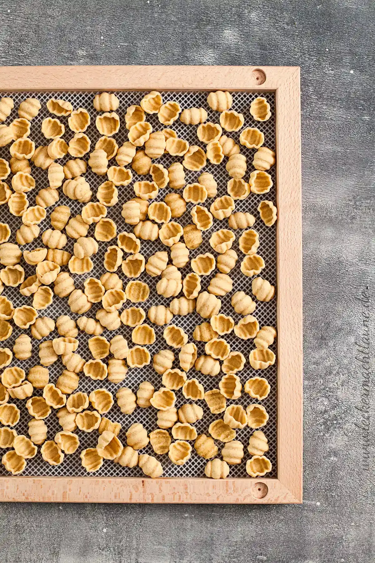 Irina Lauterbach: HOMEMADEPASTA