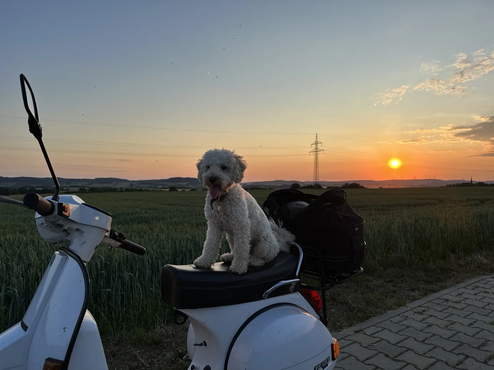 Ludwig auf einem Rollersitz vor Sonnenuntergang