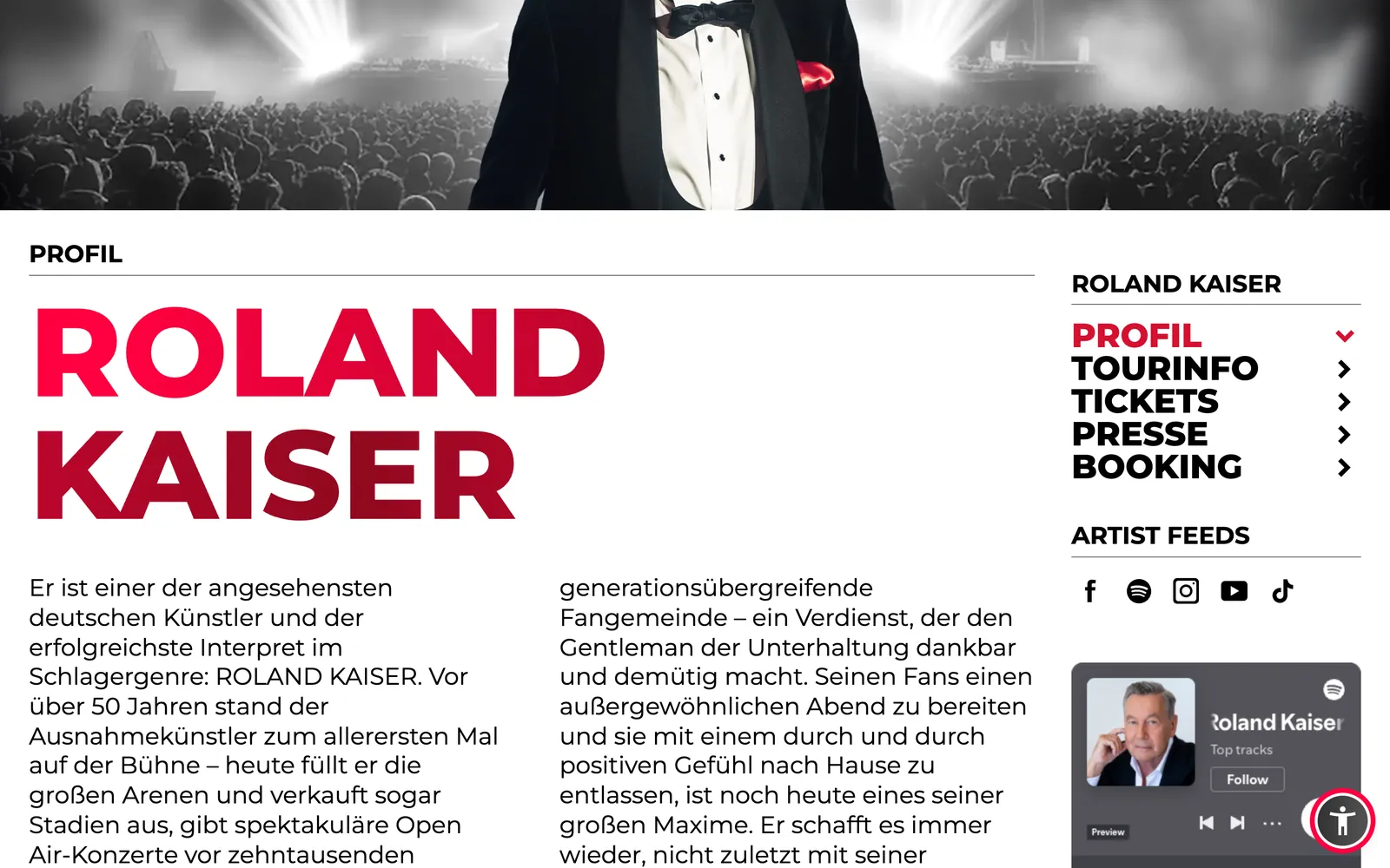 semmel.de, Künstlerseite mit großer Schrift