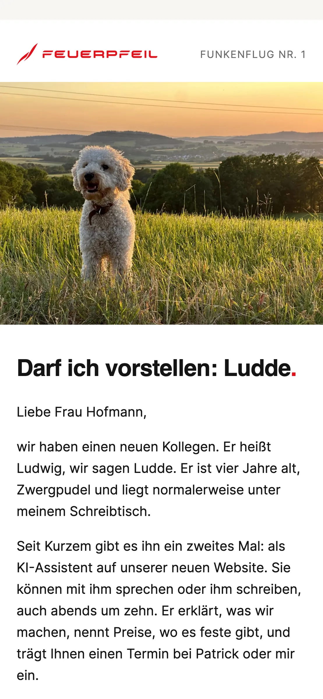 Funkenflug, unser Newsletter, auf dem Telefon