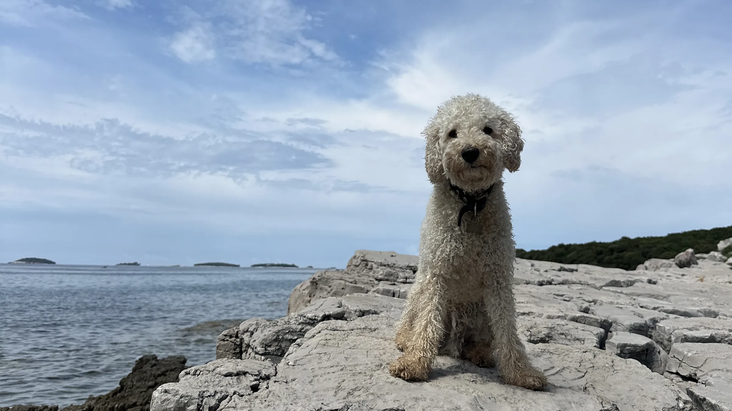 Ludwig sitzt auf hellen Felsen am Meer unter blauem Himmel
