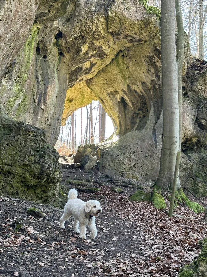 Ludwig vor einem Felsentor im Wald