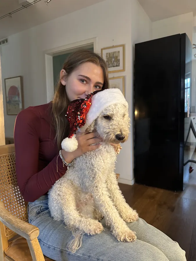 Ludwig mit Weihnachtsmütze auf dem Schoß