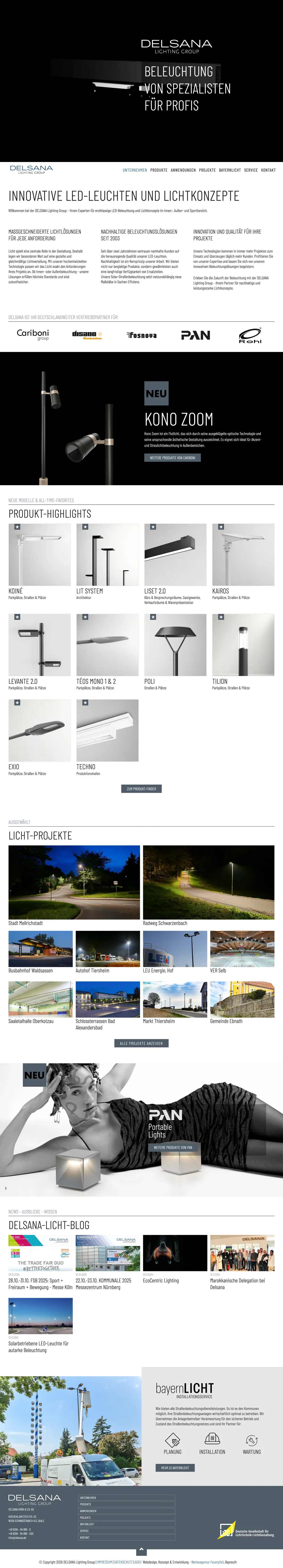 Startseite von delsana.com in voller Länge