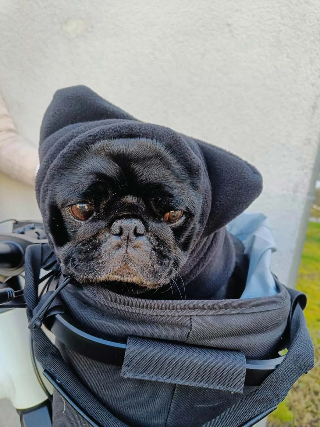 Patrick Ziegler: MOPSDADDY