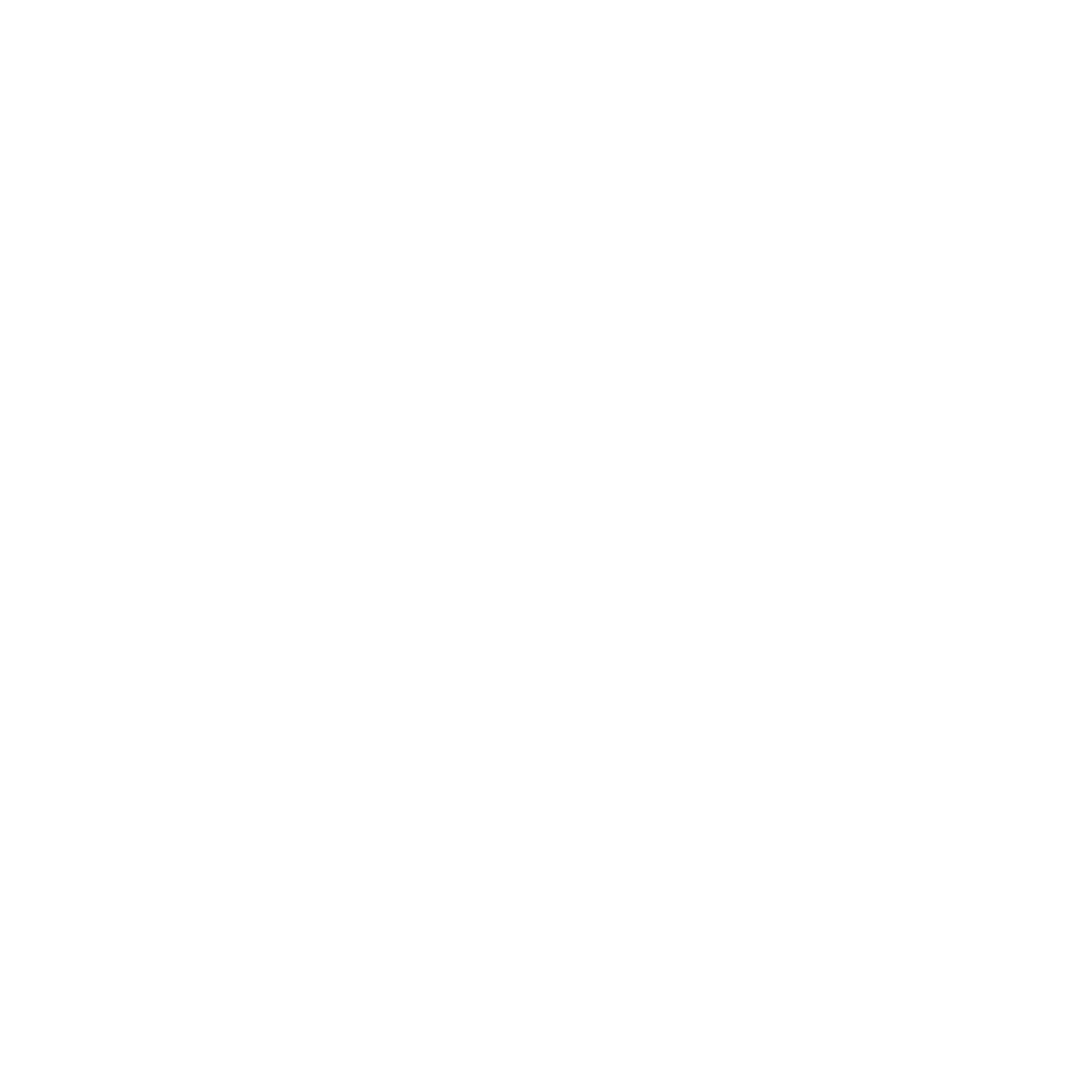 Academia exertilor