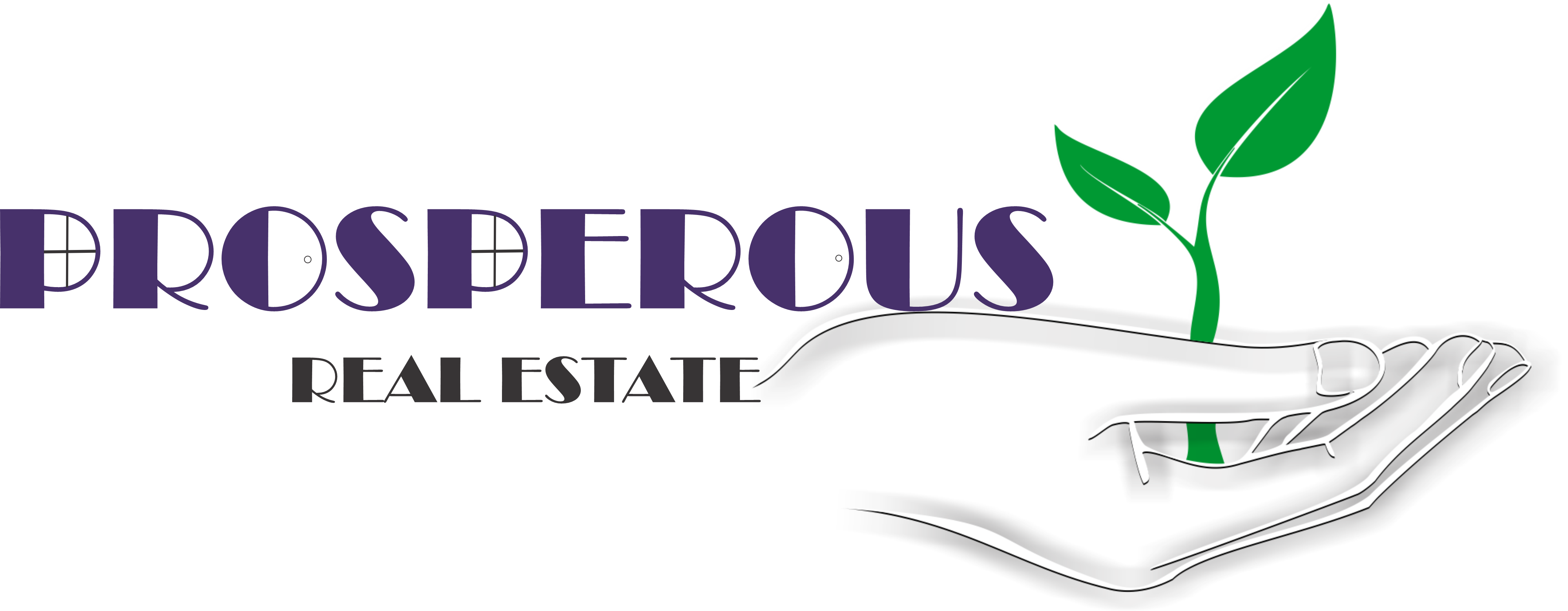 Prosperous Real Estate