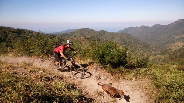a bike rider and a dog running down a dusty mountain trail