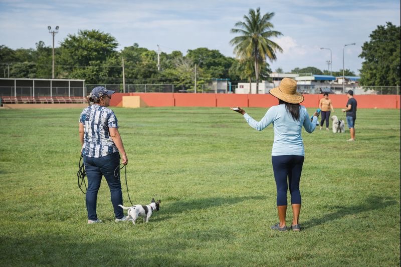 A guardian walking a small black and walk dog and  on a long slack leash in an open field with coach T.