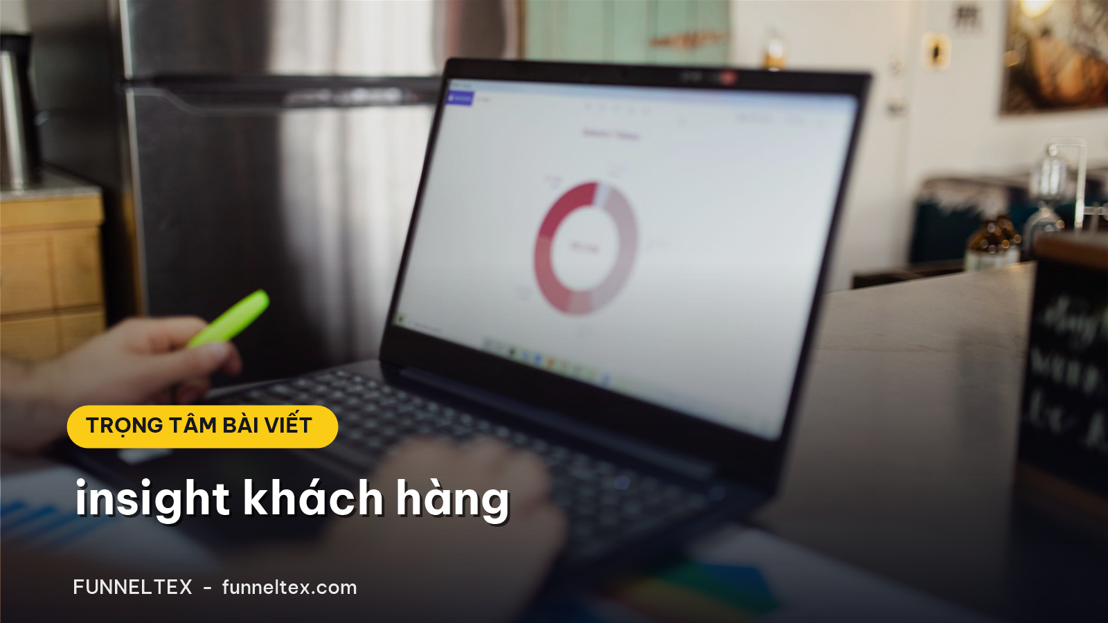 insight khách hàng