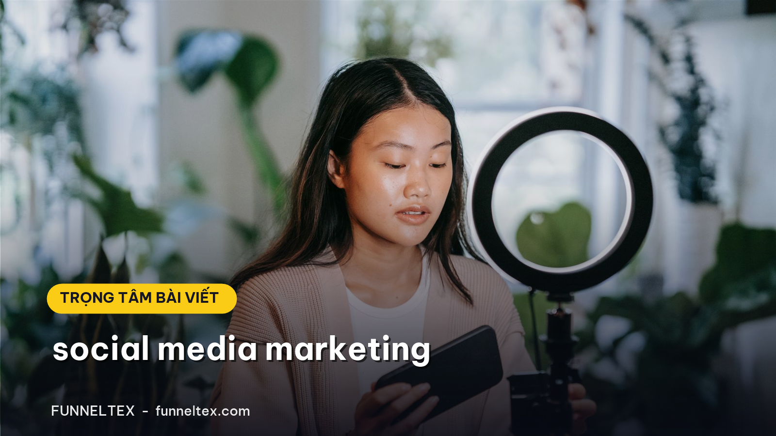 social media marketing