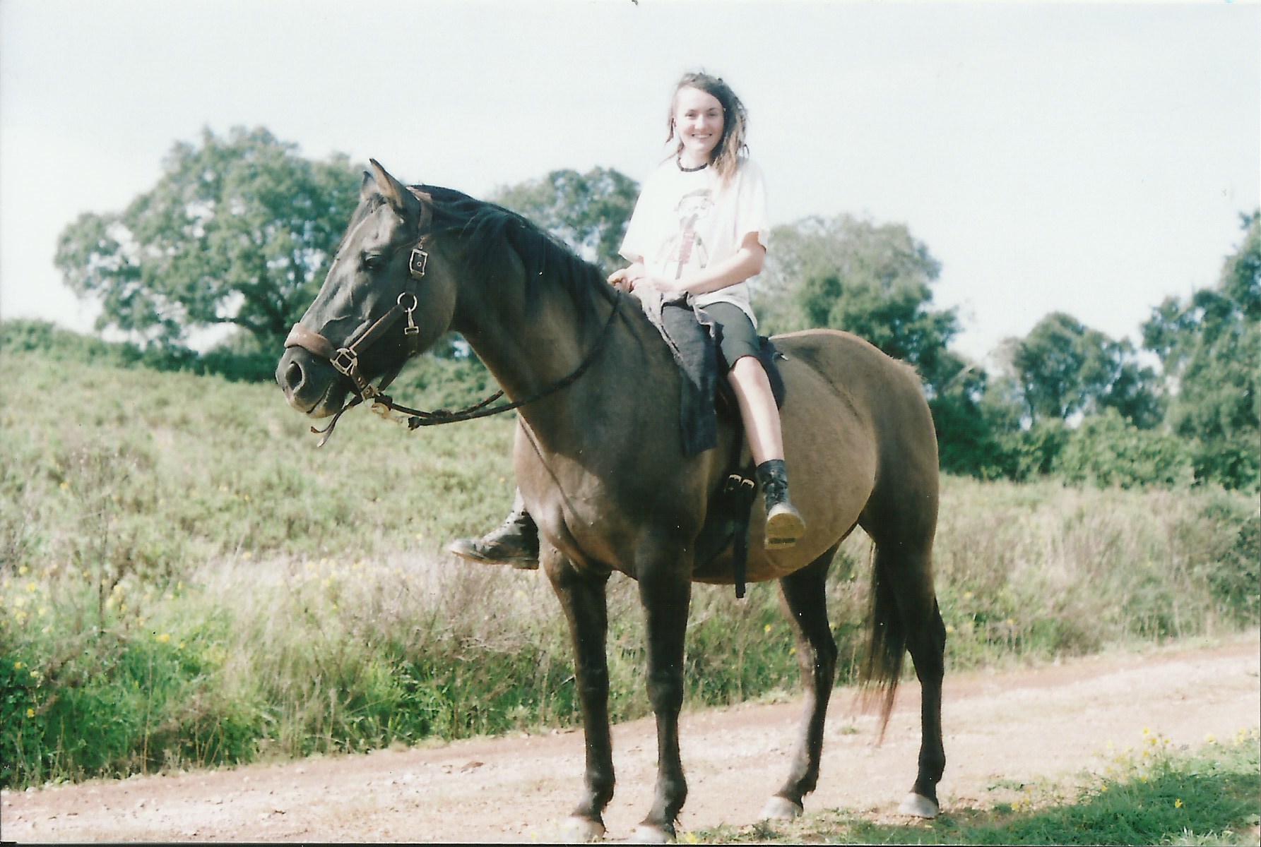 Horse riding Horse riding