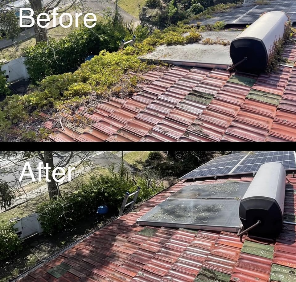 Gutter Cleaning by Protex Roofing Solutions
