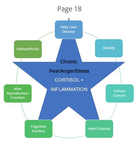 Diagram showing chronic fear, anger and stress at the center, linked to cortisol, inflammation and related health conditions