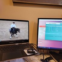 Quantum biofeedback session using QX World technology