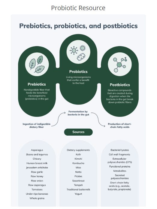 Infographic explaining prebiotics, probiotics and postbiotics with common food sources