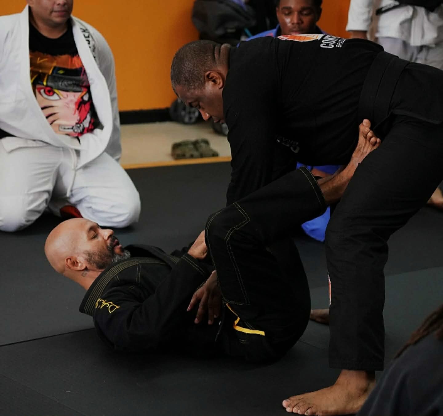 Adult BJJ
