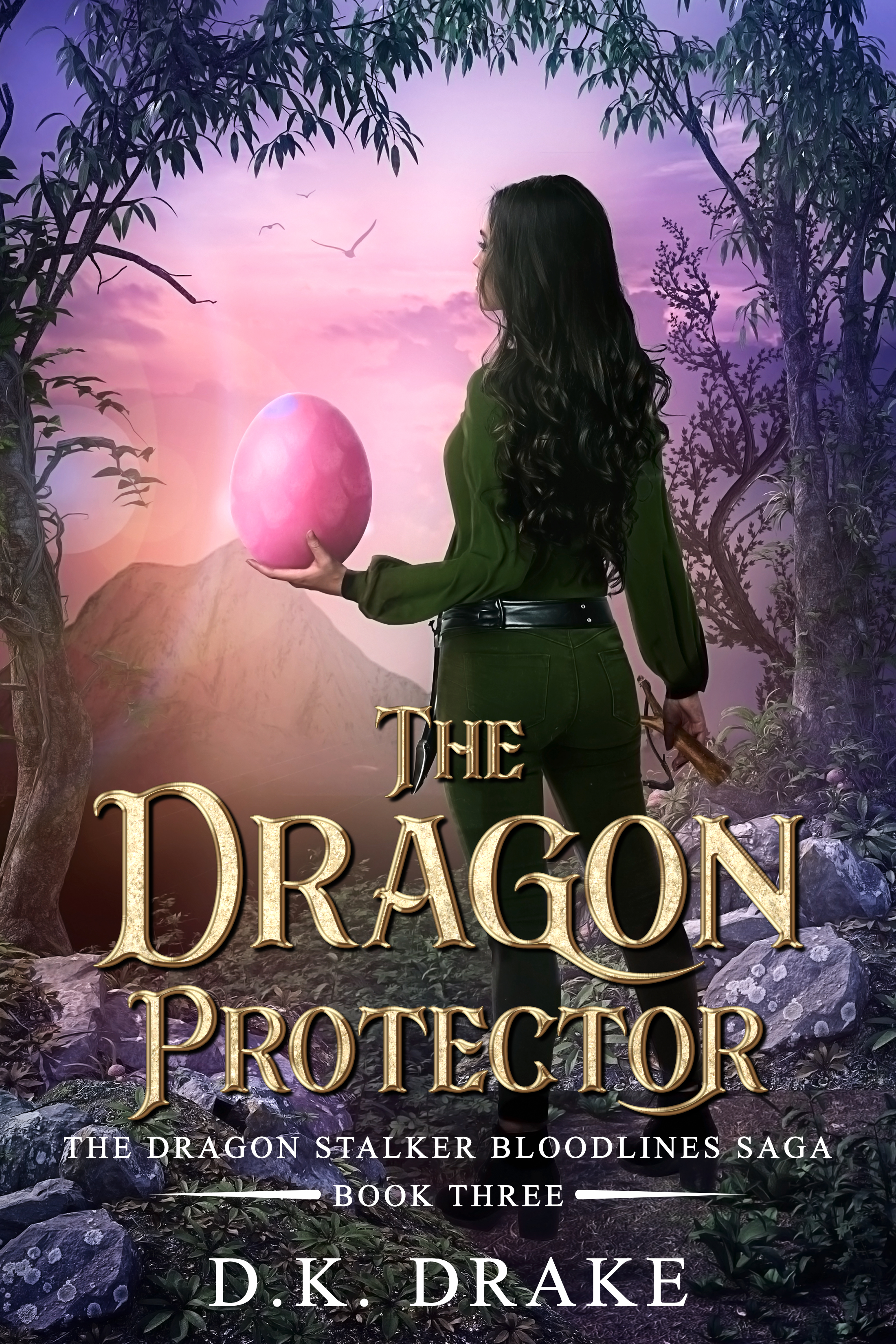Cover: The Dragon Protector