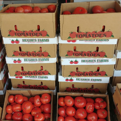 Green and red cherry tomatoes