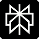 Perplexity logo