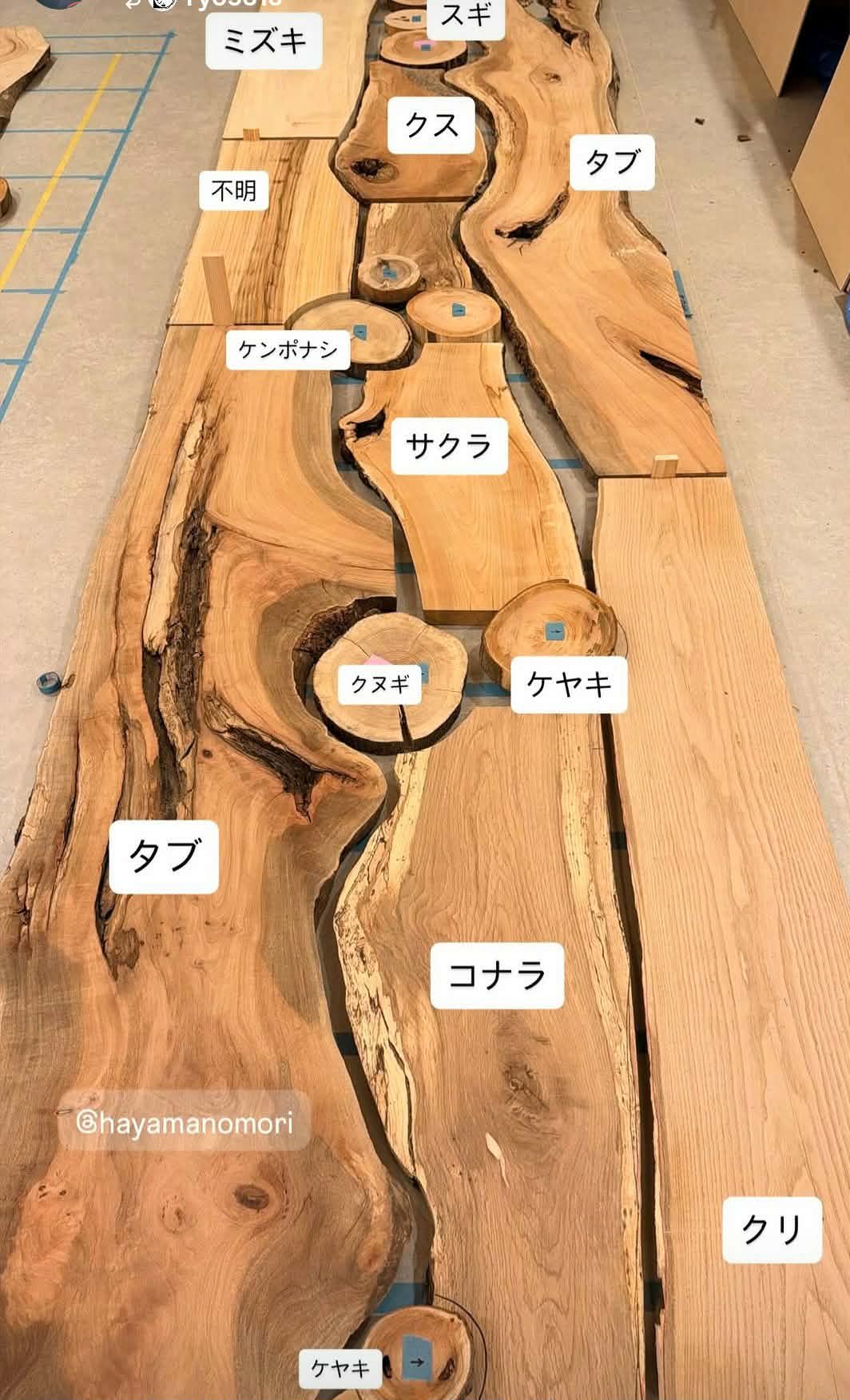 食堂家具に使う葉山の木材