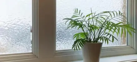 window replacement company utah