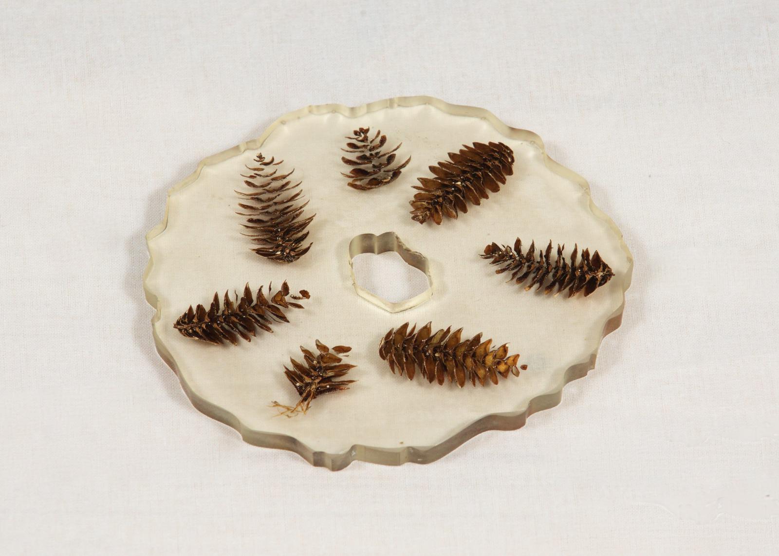 Artistic works project image 19