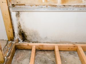 Commercial Inspections in La Jolla CA