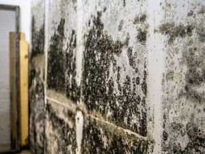 Hydro Jetting in La Jolla CA