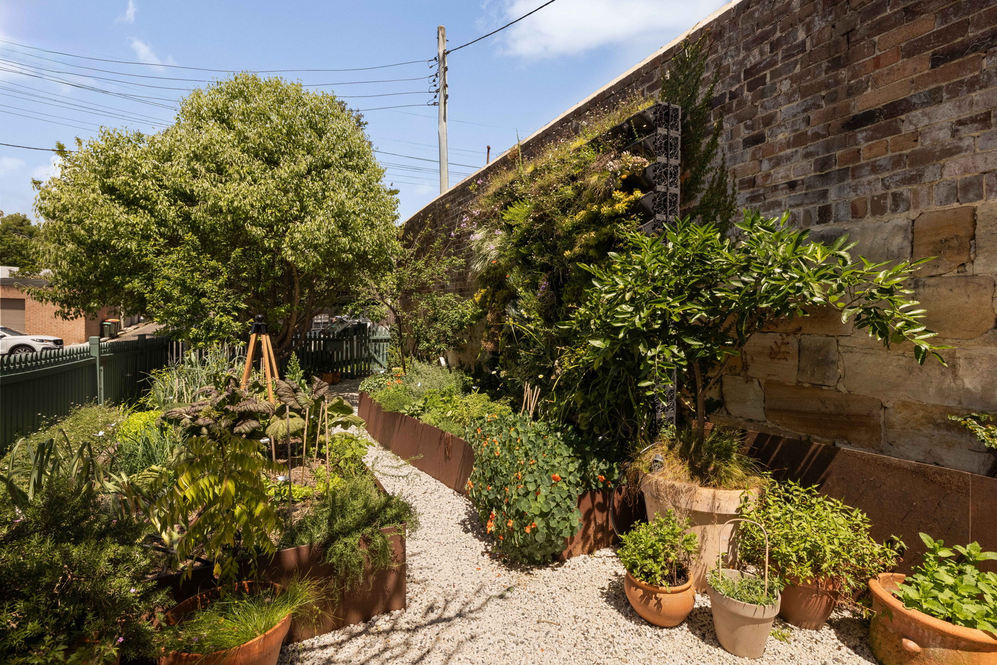 82 O'Neill Street, Lilyfield NSW 2040 — view 9
