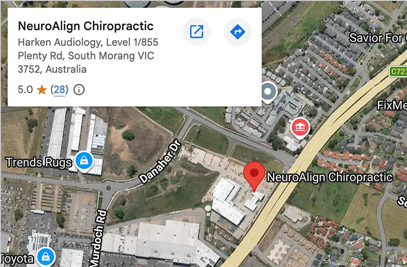 Google Map Neuro Align