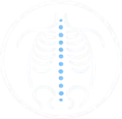 X-Ray Analysis