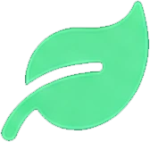 Sustainable Cleaning Practices