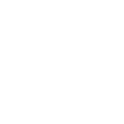 TRANSPARENT FEES