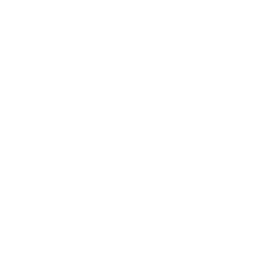 Tailored support
