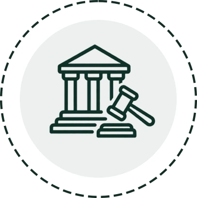 Court Representation