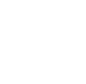 Licensed Electrician