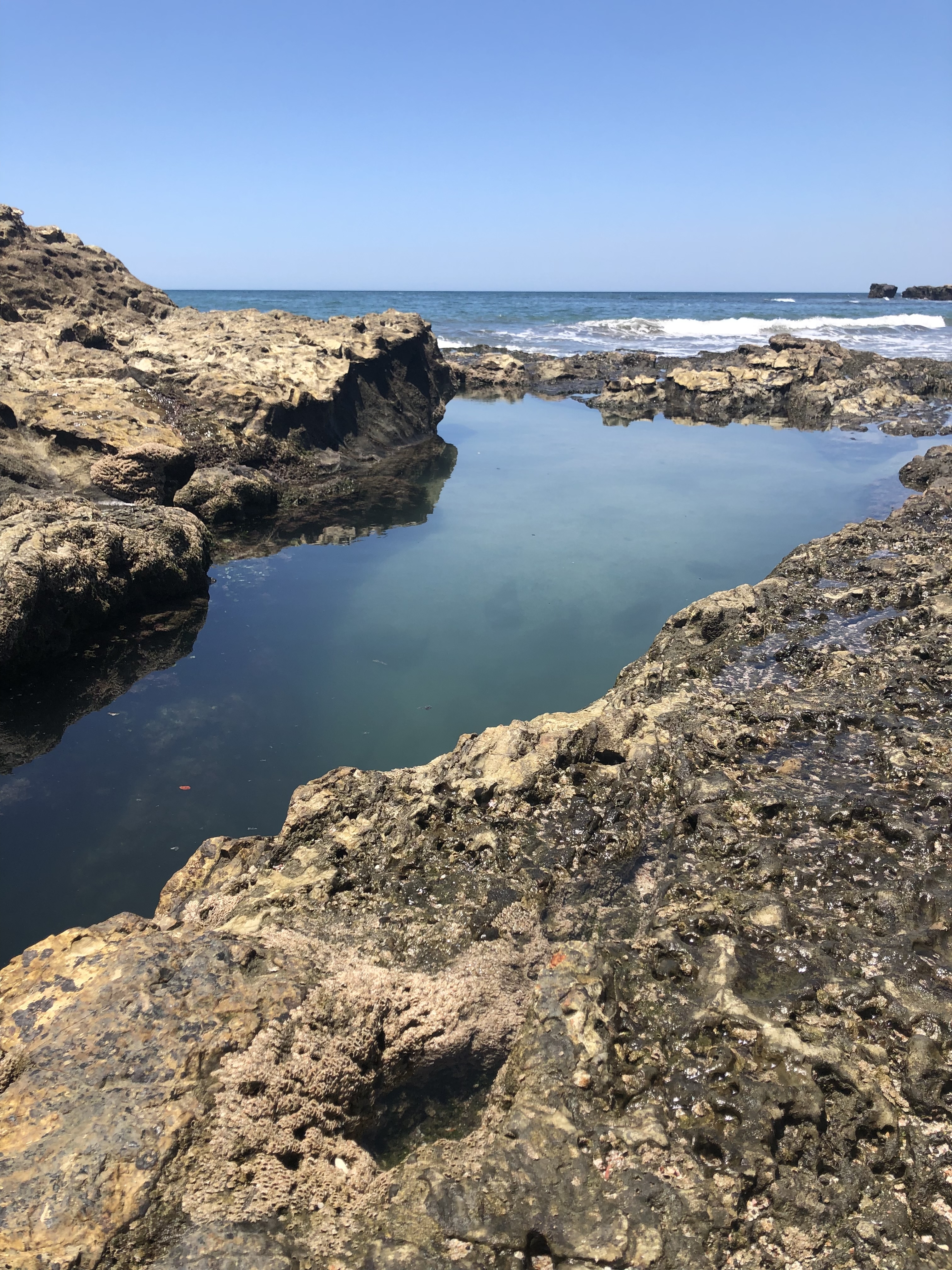 Nosara tide pool