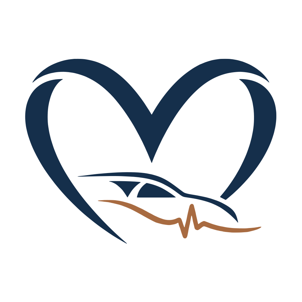 Mizzelle Transportation Services full-color icon